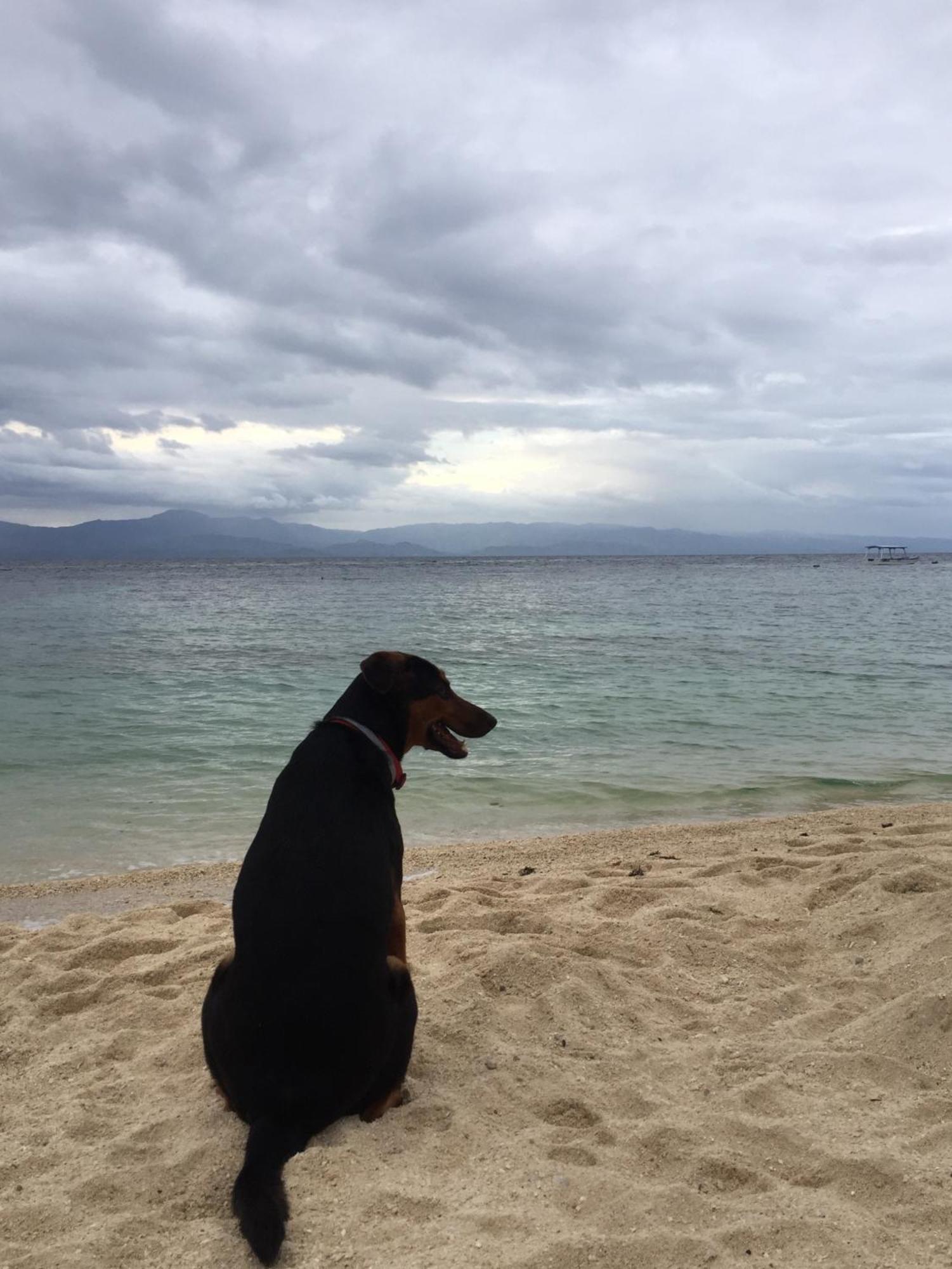 旅人海滩简易别墅度假村 莫阿尔博阿 外观 照片